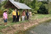 คุณตาวัย70ปีพิมายทำเกษตรผสมผสานทางรอดยุคโควิดฯ